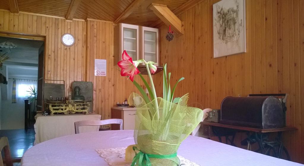 Pokoje Goscinne Arnika Gorska Szklarska Poręba Kültér fotó